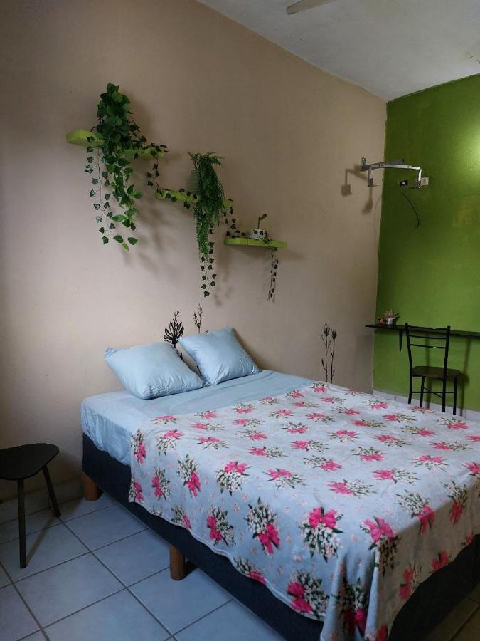Cho Ku Rei Hostal San José del Cabo Dış mekan fotoğraf