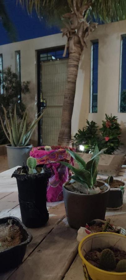 Cho Ku Rei Hostal San José del Cabo Dış mekan fotoğraf